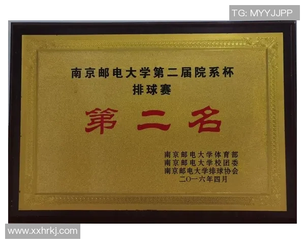 南京排球队的灵活性探讨与训练策略分析