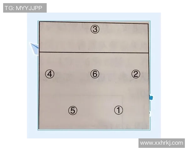 杭州排球队在冠军赛中的节奏表现分析与战术探讨