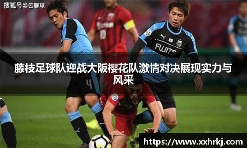mk体育在线官网