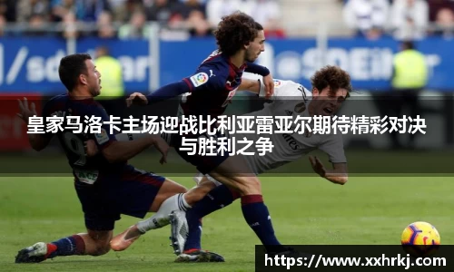 MKsports集团