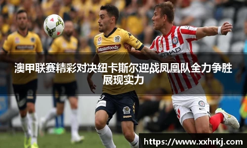 mk体育