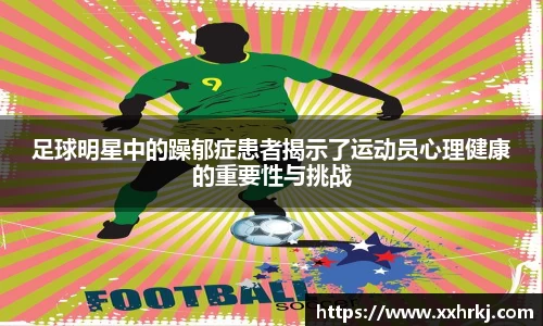 mk体育官网入口