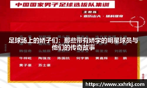 mk体育在线官网